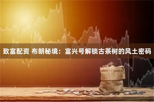致富配资 布朗秘境：富兴号解锁古茶树的风土密码