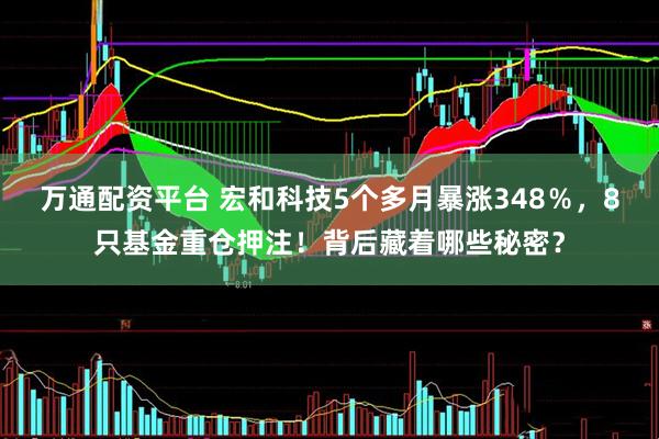 万通配资平台 宏和科技5个多月暴涨348％，8只基金重仓押注！背后藏着哪些秘密？