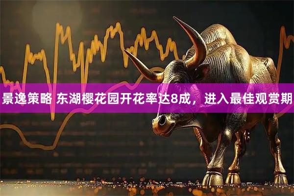 景逸策略 东湖樱花园开花率达8成，进入最佳观赏期