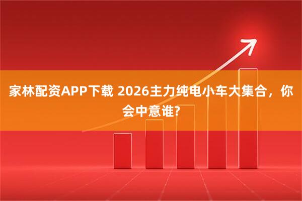 家林配资APP下载 2026主力纯电小车大集合，你会中意谁?