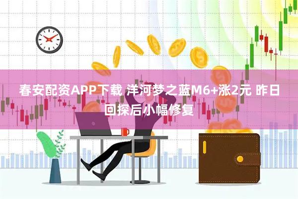 春安配资APP下载 洋河梦之蓝M6+涨2元 昨日回探后小幅修复